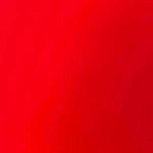 Meet your Posher, Darius